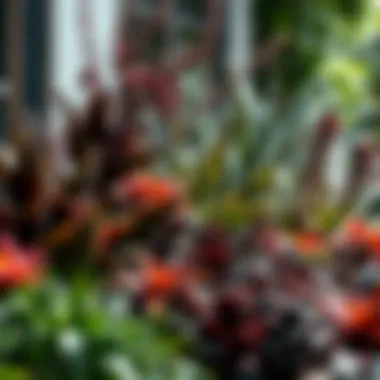 An artistic arrangement of shade-loving plants creating a stunning visual effect