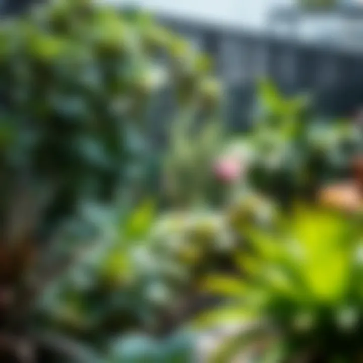 An elegant garden design featuring layered plants in a shaded area