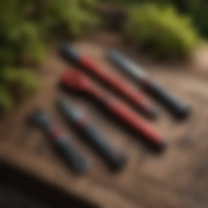 Pruning tools laid out on a wooden surface