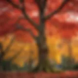 Vibrant foliage of a Japanese red maple in autumn