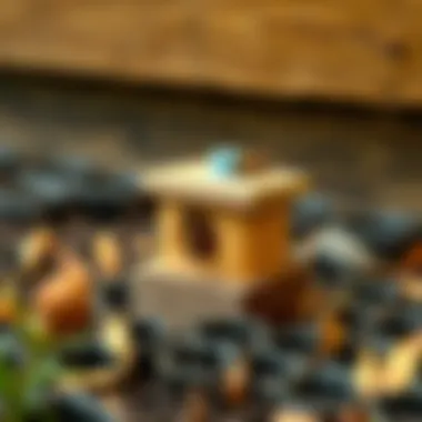 A detailed guide showcasing maintenance tips for homemade bumblebee traps.