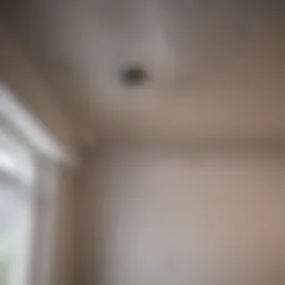 Close-up of water stains on ceiling