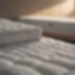 Different types of mattresses displayed side by side