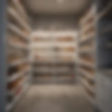 Aesthetic and Functional Design Aesthetic and functional pantry design
