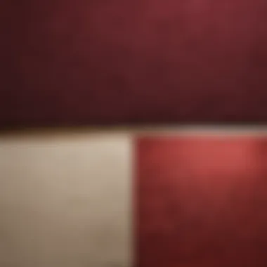 Carpet Stain Removal Comparison Before and after comparison of a carpet with wine stain removal