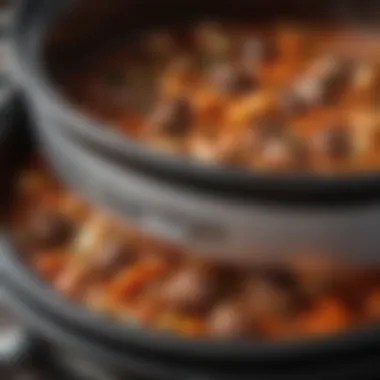 A close-up of a simmering stew, highlighting the rich textures and flavors.