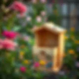 A beautifully crafted bee box set in a vibrant garden