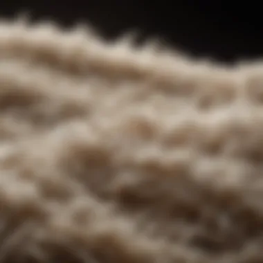 Wool Fiber Texture Close-up of wool fibers demonstrating texture and quality