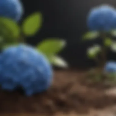 Ideal soil composition for hydrangea growth