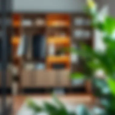 Stylish wardrobe design showcasing aesthetic organization