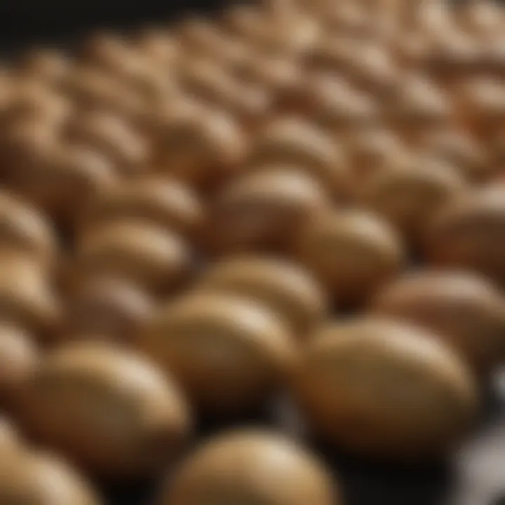 Variety selection of potatoes