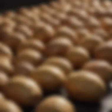 Selecting the Perfect Potato Variety Variety selection of potatoes