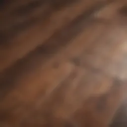 Close-up of a beautiful, refinished hardwood floor reflecting light