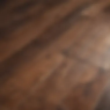 Close-up of a beautiful, refinished hardwood floor reflecting light