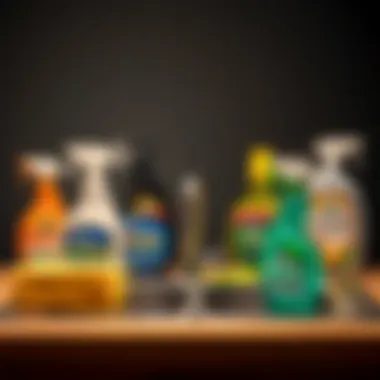 Various cleaning products for stainless steel maintenance