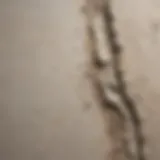 Close-up of a cracked plaster wall showing texture