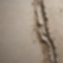 Close-up of a cracked plaster wall showing texture