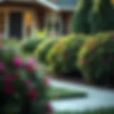 Vibrant front yard with freshly planted bushes