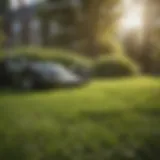 Healthy lawn restoration techniques