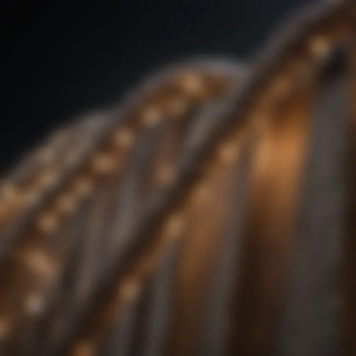 Close-up view of different types of rope lights suitable for outdoor use