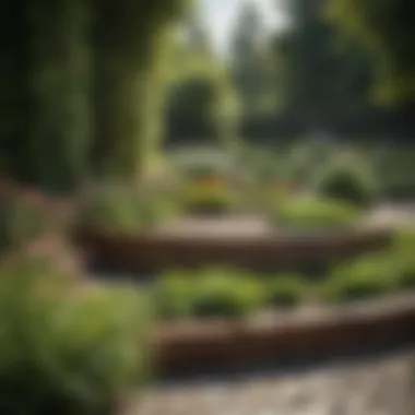 Wooden round flower bed borders surrounded by lush greenery