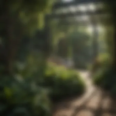 A shaded area in a garden showcasing the beauty of shade-tolerant plants