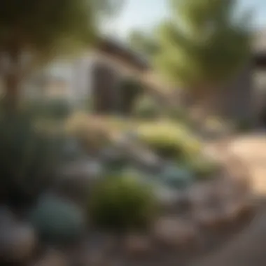 Contemporary Drought-Resistant Design Contemporary front yard showcasing drought-resistant plants