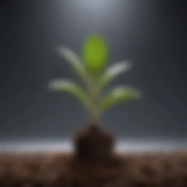 Visual representation of soil amendments that enhance seedling growth