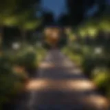 A modern solar powered outdoor smart light illuminating a garden pathway at dusk.