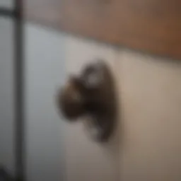 Stylish handles enhancing cabinet aesthetics