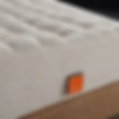 Care Instructions for Tempur Supreme Mattress Topper Visual guide for proper care instructions for the mattress topper