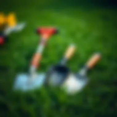 Gardening tools arranged neatly on grass