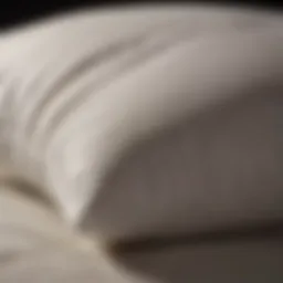 Luxurious materials for pillows showcasing comfort and support