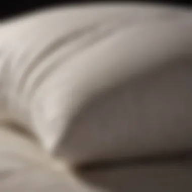 Luxurious materials for pillows showcasing comfort and support