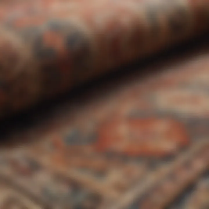 Close-up of a luxurious rug showcasing intricate patterns