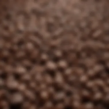 Diverse Coffee Beans A selection of coffee beans representing different flavors and origins