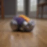 Dyson ball vacuum cleaner on hardwood floor
