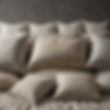 An infographic illustrating the lifespan of different types of bed pillows.