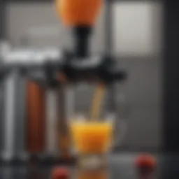 Detailed view of a slow juicer showcasing its unique extraction mechanism