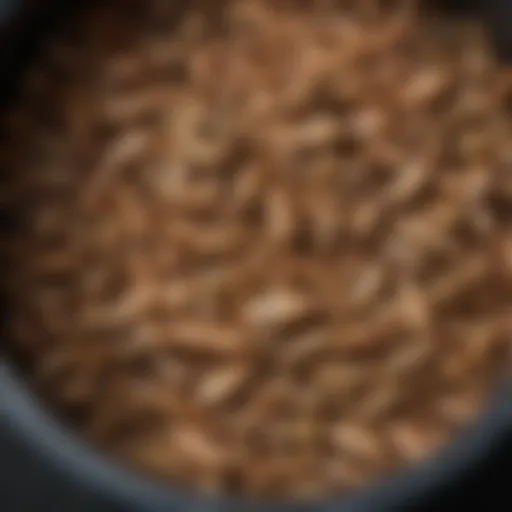 Close-up view of maggots in a waste bin