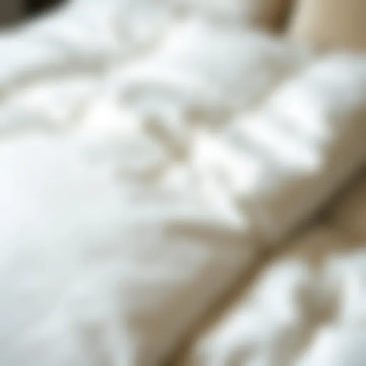 Close-up of heavyweight down alternative duvet insert showcasing its plush texture