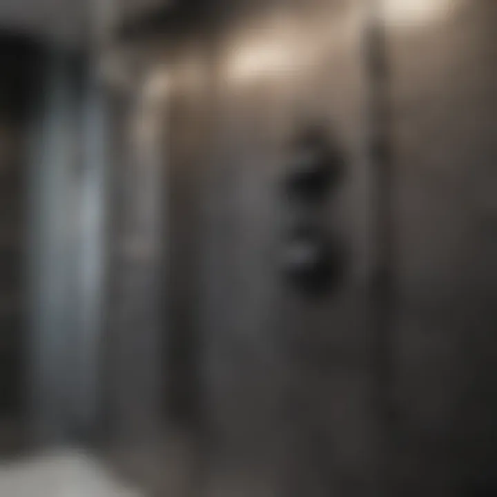 Health risks associated with black mold exposure