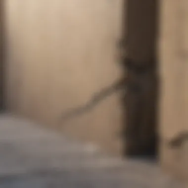 Visual representation of different types of settling cracks in walls