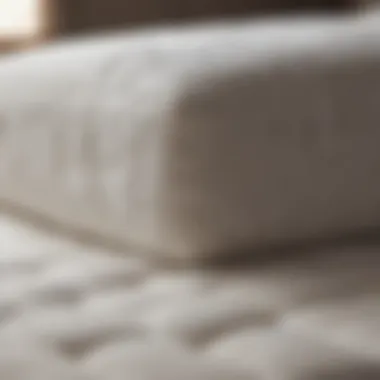 Care Tips for Mattress Pads Care tips for maintaining mattress pads