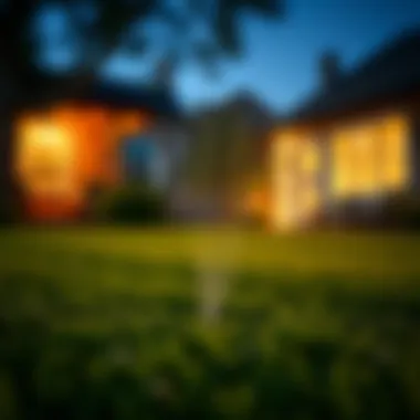 Seasonal Lawn Care Insights Seasonal lawn care