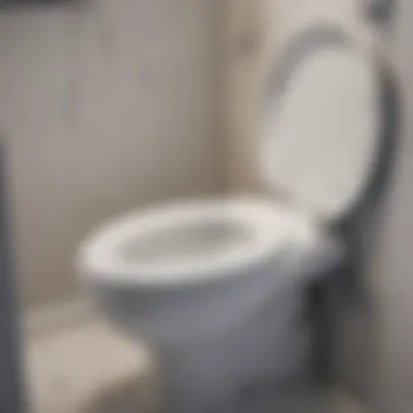 Close-up of the internal mechanism of a raised tank toilet