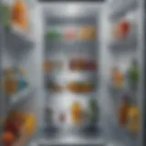 Interior view of a refrigerator showing water accumulation