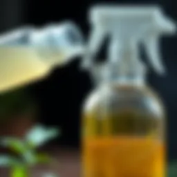 A close-up of a vinegar solution being poured into a spray bottle.