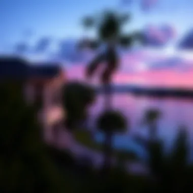 Scenic view overlooking a serene lake