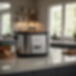 Stylish wolf gourmet crock pot in a modern kitchen setting